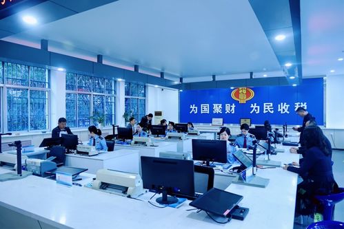 慶陽稅務 高效辦稅促發(fā)展，稅惠服務暖企心