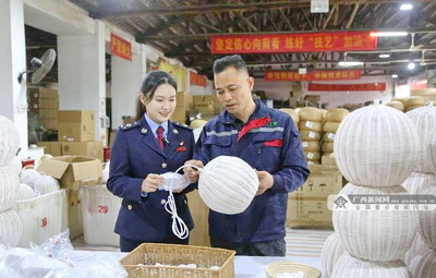 博白稅務 以“稅惠+服務”雙引擎，賦能企業(yè)揚帆向海圖強