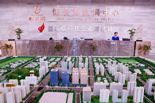 樓宇經濟賦能中小微 新長海服務外包基地的稅務解憂之道